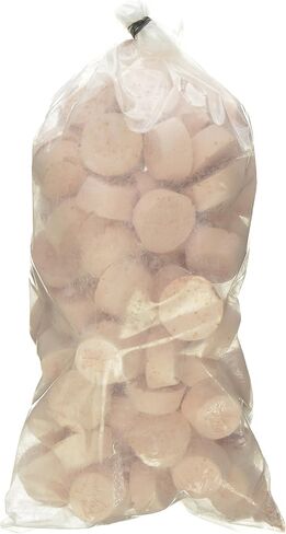 Zoo Med Laboratories AZMBB2 Mini Banquet Block Feeders, 12 Count in Saudi Arabia
