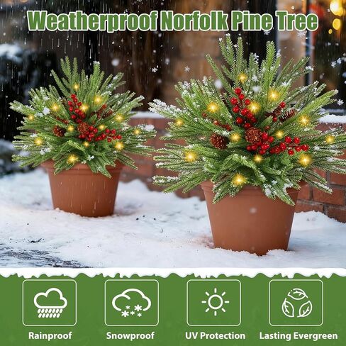 2 حزمة 24 "الصنوبر الاصطناعي نورفولك شجرة عيد الميلاد حشو جرة مع أضواء، مضاءة حشو زارع عيد الميلاد في الهواء الطلق مع مخاريط الصنوبر والتوت الأحمر للشرفة، جرة، حديقة، فناء وديكور عطلة in Kuwait