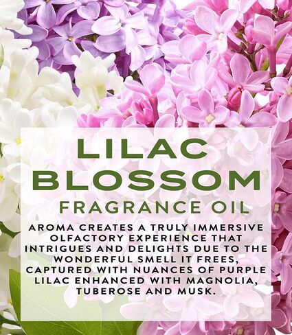 زيت عطري بزهرة الليلك من بوتانيكال بيوتي، 0.338 أونصة سائلة (10 مل) عطر رولربال، خالي من الكحول، يدوم طويلاً in Kuwait