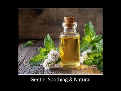 DAANA Peppermint Essential Oil : Pure, Undiluted (2 Fl Oz) in Saudi Arabia