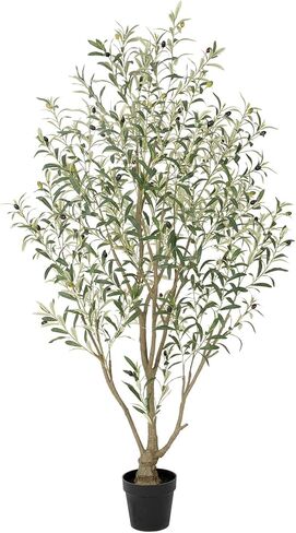 شجرة زيتون صناعية كاملة للغاية، شجرة زيتون صناعية بطول 7 أقدام في الداخل، أشجار حرير وهمية بأوراق واقعية وفواكه نابضة بالحياة للأماكن الداخلية والخارجية وغرفة المعيشة وغرفة النوم والمكتب وديكور المنزل in Kuwait