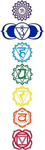 Yoga Clothing For You Mens Colored Chakras Lightweight Hoodie Tee Shirt in Saudi Arabia