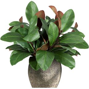 أوراق ماغنوليا الاصطناعية فروع وهمية ثلاثية الأبعاد ماغنوليا اختيار سيقان خضراء صناعية أوراق لمزهرية داخلية وخارجية لملء طاولة المكتب المنزلية (6 قطع، 18 بوصة) in Kuwait