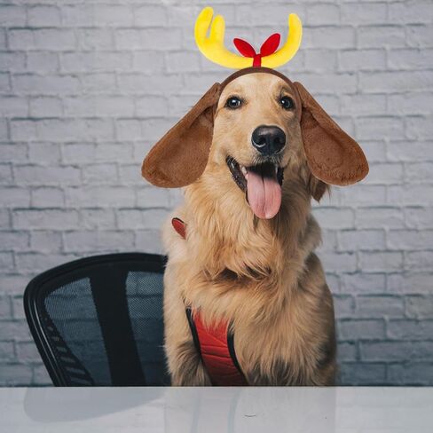 3PCS Dog Ears Headband Tail Necklace for Women Halloween Cosplay Birthday Party Supplies in Saudi Arabia