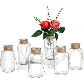 مزهريات زجاجية عتيقة للزهور، مجموعة من 6 مزهريات ميسون شفافة لديكور المنزل زهرة مزهرية الزفاف قطع مركزية من الجرار ميسون لطاولة الزفاف والمكتب المنزلي in Kuwait