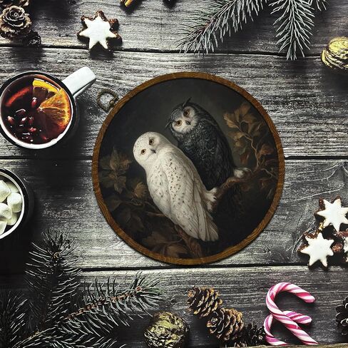 KLYTINK Vintage Owl Wall Art Decor,Retro Bird Mid Century Modern Wall Art Canvas Frame Hanging Prints, Vintage Animal Round Wall Art Decor for Bedroom,Best Gifts for Family Friends 10"x10" (BY0611) in Saudi Arabia