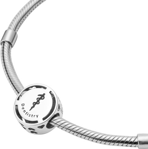 Bolenvi Jobs Career Professions Bead Charm Compatible with Pandora & Similar Bracelets, Necklaces & DIY Jewelry - Authentic 925 Sterling Silver Charm (Dentistry Dentist) in Saudi Arabia