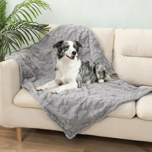 BEAUTYZOO Waterproof Dog Blankets for Small Dogs Washable- Reversable Dog Blanket for Furniture, Sofa, Couch, Crate, Car- Soft Sherpa Dog Throw Plush Pet Bed Blanket Cat Puppy Kitten, 24"x32" Grey in Kuwait
