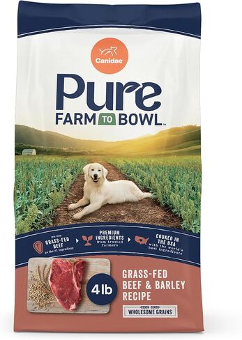 CANIDAE Pure Limited Ingredient Premium Adult Dry Dog Food, Real Bison & Barley Recipe, 4 lbs, with Wholesome Grains in Kuwait