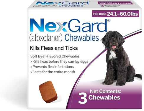 Nexgard® (afoxolaner) حماية البراغيث وحماية القراد للكلاب اللحم البقري الناعم الناعم ، من 24.1 إلى 60 رطلاً. (مربع أرجواني) 1 مضغ (إمداد 1 شهر) in Saudi Arabia