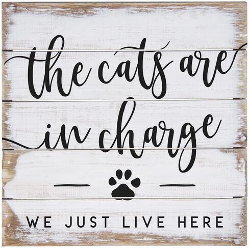 Simply Said, INC Perfect Pallet Petites 8" Wood Sign - The Cats are in Charge. We Just Live Here - PET20448 in Saudi Arabia