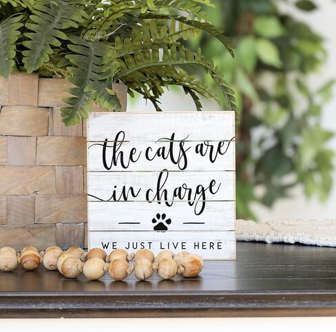 Simply Said, INC Perfect Pallet Petites 8" Wood Sign - The Cats are in Charge. We Just Live Here - PET20448 in Saudi Arabia