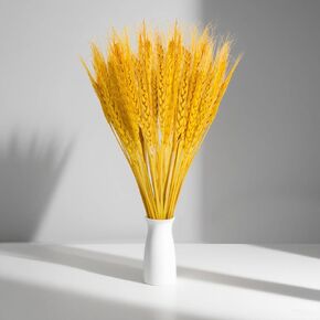 Sukh 100 Stems Dried Wheat Stalks for Decor Wheat Sheaves Wheat Grass Decor Natural Wheat Bunch Wheat Decor Natural Wheat Stalks Dried Flowers for Home Wedding Table Farmhouse Decor 12.9 Inches in Saudi Arabia