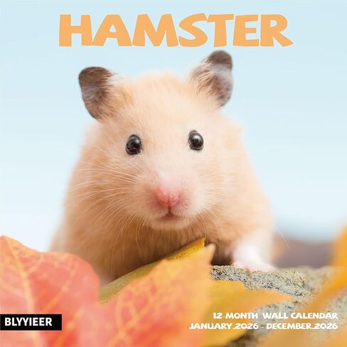 2026 Wall Calendar,Calendar 2025-2026,Shetland Pony Cattle Monthly Wall Calendar, 12" x 24" Open,Family Planner Calendar, Home & Office Organizer,Hangable in Kuwait