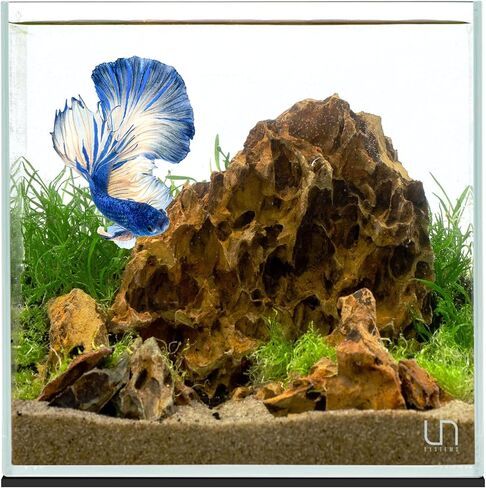 حوض أسماك Ultum Nature Systems فائق الوضوح بدون إطار - حوض أسماك زجاجي منخفض الحديد بحواف متدرجة 45 درجة، بسُمك 5 مم - 12 مم، يتضمن حصيرة تسوية (16T، طويل، 1.6 جالون) in Kuwait