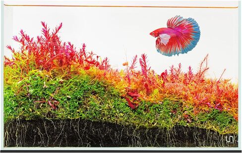 حوض أسماك Ultum Nature Systems فائق الوضوح بدون إطار - حوض أسماك زجاجي منخفض الحديد بحواف متدرجة 45 درجة، بسُمك 5 مم - 12 مم، يتضمن حصيرة تسوية (16T، طويل، 1.6 جالون) in Kuwait