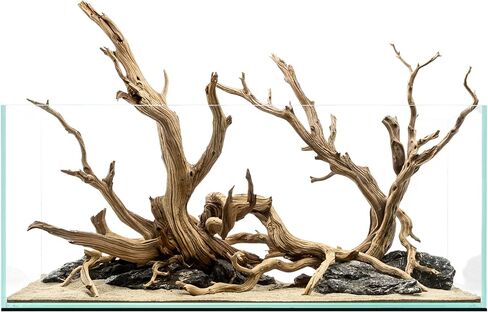 حوض أسماك Ultum Nature Systems فائق الوضوح بدون إطار - حوض أسماك زجاجي منخفض الحديد بحواف متدرجة 45 درجة، بسُمك 5 مم - 12 مم، يتضمن حصيرة تسوية (16T، طويل، 1.6 جالون) in Kuwait