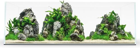 حوض أسماك Ultum Nature Systems فائق الوضوح بدون إطار - حوض أسماك زجاجي منخفض الحديد بحواف متدرجة 45 درجة، بسُمك 5 مم - 12 مم، يتضمن حصيرة تسوية (16T، طويل، 1.6 جالون) in Kuwait