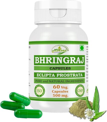 Eclipta Prostrata Capsule for Men and Women | Bhringraj | Ayurvedic Herbal Supplement | 500 mg. per Serving | 60 Veggie Capsules | Made with Natural Extract of Bhringraj Plant (Pack of 1 Jar) in Kuwait