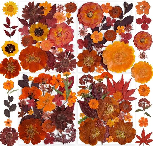 269pcs زهور مضغوطة مجففة للرياحات الحرف - يونغبرو الطبيعة الحقيقية مجموعة مع ملصقات الفراشة لمجوهرات DIY مسامير القصاصة الفنية الأزهار ديكورز in Kuwait