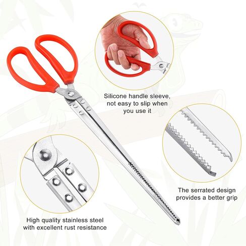 ملقط تغذية الزواحف الثعبان مقاس 15 بوصة من Filhome، ملقط تغذية طويل جدًا مضاد للانزلاق، ملاقط من الفولاذ المقاوم للصدأ سهلة الإمساك من أجل Terrarium Axolotl Beard Dragon Corn Ball Python in Kuwait