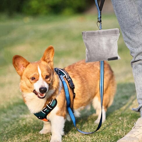 TIGOADT Dog Treat Bag with Waist Clip,Dog Treat Pouch,Portable Outdoor Training Dog Walking Snack Bag,Pet Feeding Pocket for Leash with Auto-Closing Opening (Grey) in Kuwait
