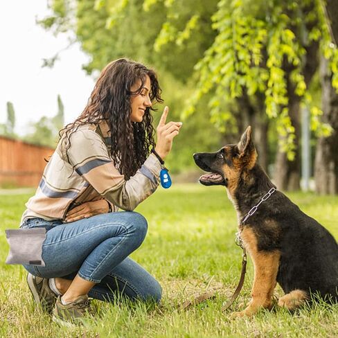 TIGOADT Dog Treat Bag with Waist Clip,Dog Treat Pouch,Portable Outdoor Training Dog Walking Snack Bag,Pet Feeding Pocket for Leash with Auto-Closing Opening (Grey) in Kuwait