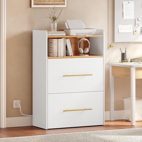 DWVO 2 Drawer Lateral File Cabinet with Charging Station, Heavy Duty Garage Tool Cabinets, Large Printer Stand with Storage Shelves for Home Office, White in Saudi Arabia