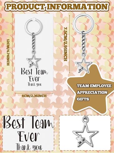 Nosiny 25 Set Best Team Ever Team Appreciation Gifts Bulk Star Keychains with Cards Employee Appreciation Gifts Inspirational Star Keychain Thank You Party Favors for Coworker Staff Employee in Saudi Arabia