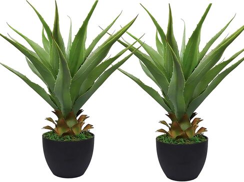 Momoplant 2 PCS نباتات الاصطناعية ألو فيرا 27 بوصة عصارة مزيفة مزيفة فو ، نبات الصغار محفوظ بوعاء لديكور مكتب منزلي داخلي داخلي في الهواء الطلق in Kuwait