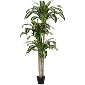 شجرة Dracaena الاصطناعية بطول 4 أقدام - نبات داخلي صناعي مع تصميم بوعاء مقاوم للأشعة فوق البنفسجية - نباتات صناعية كبيرة واقعية لديكور المنزل وغرفة المعيشة والمكتب في الأماكن المغلقة in Kuwait