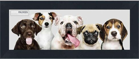 إطار صورة Palooza مقاس 19 × 24 باللون الأسود مقاس 1 1/8 بوصة من الخشب الصلب - أكريليك بالأشعة فوق البنفسجية، ودعامة من الإسفنج، وأدوات تعليق متضمنة! in Kuwait