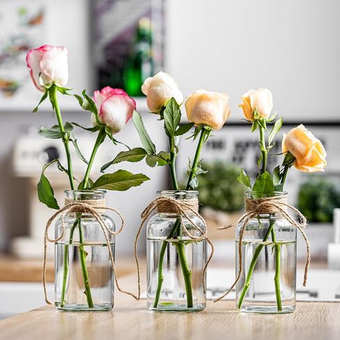 Vintage Glass Vases, Mason Jars for Centerpieces, Farmhouse Mason Jar Vase with Rope Design, Centerpiece Vases for Table, Wedding & Home Decor (6) in Saudi Arabia