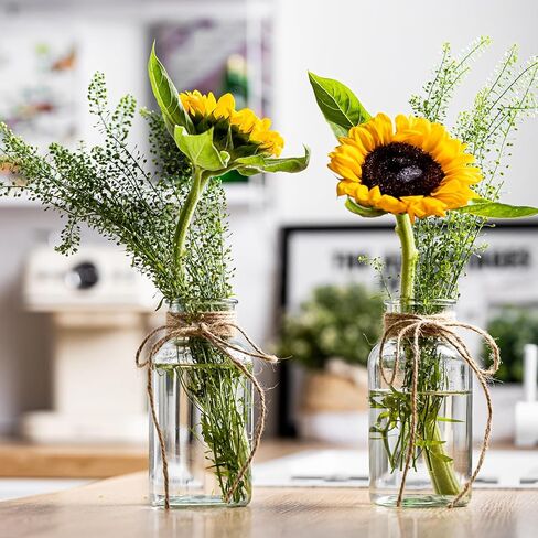 Vintage Glass Vases, Mason Jars for Centerpieces, Farmhouse Mason Jar Vase with Rope Design, Centerpiece Vases for Table, Wedding & Home Decor (6) in Saudi Arabia