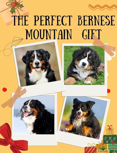 هدايا InnoBeta Bernese Mountain Dog للنساء - جوارب مضحكة للرجال والنساء، مقاس واحد - "الحياة أفضل مع جبل بيرنيز" - عيد الميلاد، عيد الميلاد، هدية تخزين للأصدقاء والعائلة in Saudi Arabia