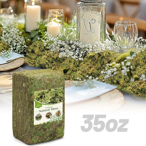 Alphatool 5oz Natural Green Moss for Crafts Beginners - Starter Moss for Plants Indoor, Artificial Fairy Gardens, Mini Mosswall, Glass Terrariums, Filling Fake Plants, Home Decoration in Kuwait