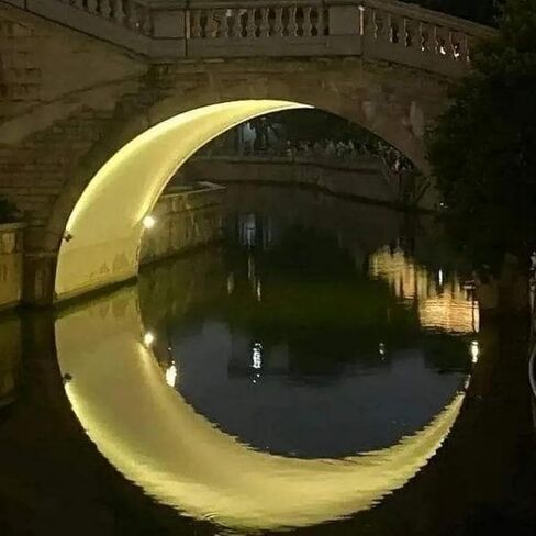 GXGLLPZBY Window Flower Paint by Numbers Kit for Adults Beginner,DIY Window Flower Paint by Numbers for Adults,Easy Canvas Paint by Number Without Frame Home Wall Decor 16 x 20 in in Kuwait