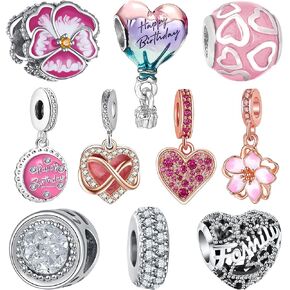 10 Pack Silver Bead Charms for Pandora Bracelets and Necklaces Charm for Woman Cubic Zirconias Dangle Pendant Jewelry Beads Set Heart Firefly Butterfly in Kuwait