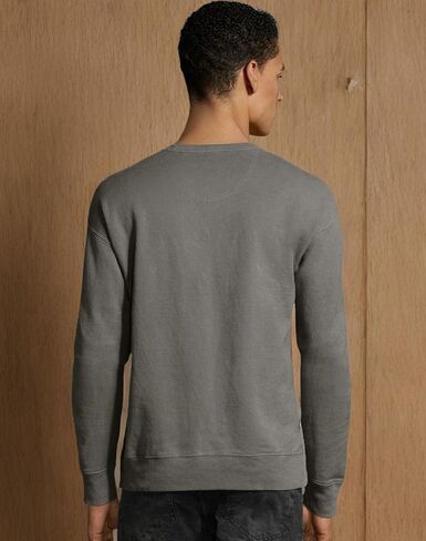 Hanes Mens Garment-Dyed Crewneck Sweatshirt, XL, Future Lavender in Saudi Arabia