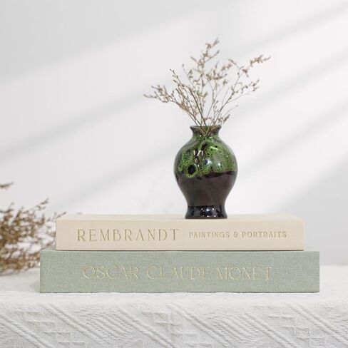 Decorative Books Set of 2 - Aesthetic Faux Book Storage Box for Coffee Table Decor Photo & Keepsake Organizer Modern Home Accent in Saudi Arabia
