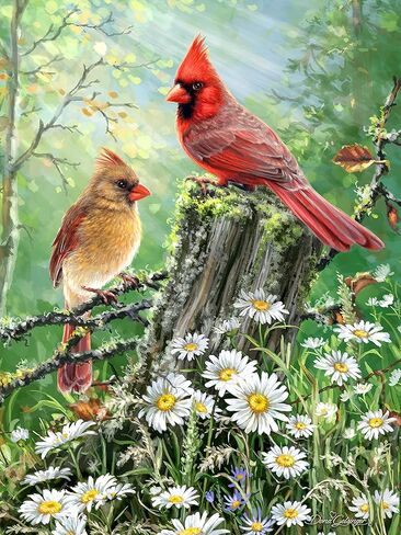 Springbok Hummingbirds 500 Piece Jigsaw Puzzle for Adults by Artist Dona Gelsinger - Made in USA - Finished Size 23.5" x 18" in Saudi Arabia