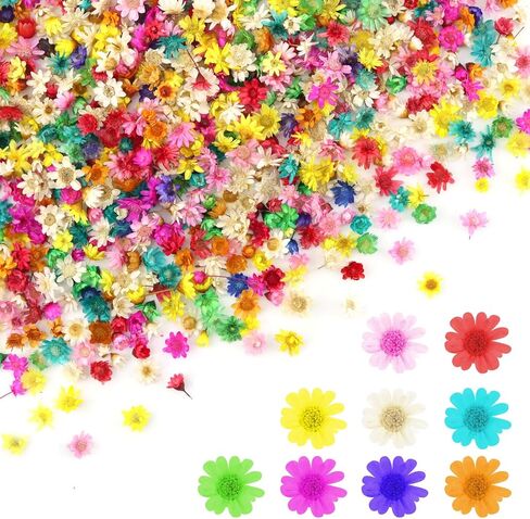 280 PCS Mini Dried Flowers for Resin, Small Dried Flowers for Crafts, Mini-Dried Flower Bulk for Resin Art, Jewelry, Candle Making, Soap Making and DIY Crafts in Saudi Arabia