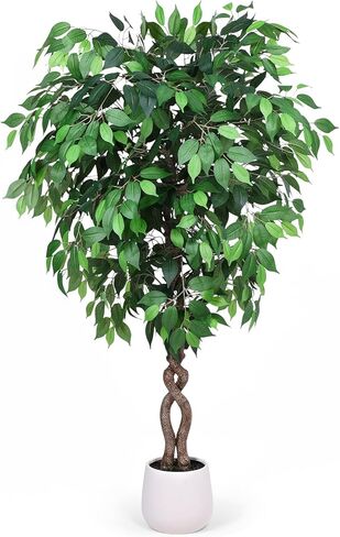 5FT Artificial Ficus Tree, Tall Faux Trees Indoor with White Planter, Dried Moss, Natural Silk Leaves & Trunk, Fake Plants for Home Living Room Office Corner Decor Housewarming Gift in Saudi Arabia