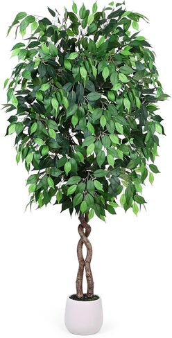 5FT Artificial Ficus Tree, Tall Faux Trees Indoor with White Planter, Dried Moss, Natural Silk Leaves & Trunk, Fake Plants for Home Living Room Office Corner Decor Housewarming Gift in Saudi Arabia