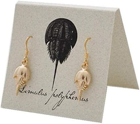 Horseshoe Crab Dangle Earrings Gold - Semaki & Bird in Saudi Arabia
