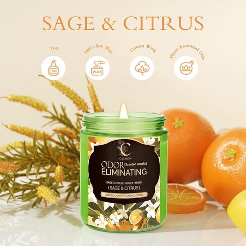 4 Pack Odor Eliminating Candles Set for Pet Smoke, Scented Candles for Home Decor Non Toxic Soy Wax Candle for Relaxing Stress Relief Women Men, 40 Hours Burning Time, House Warming Gifts for Host in Saudi Arabia
