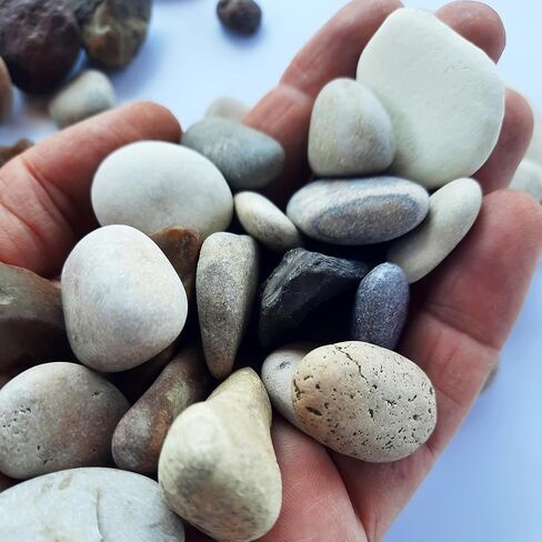 5 أحجار صلاة بحجم الجيب من بحر الجليل من إسرائيل (0.5-1 بوصة)، هدية فريدة من الأرض المقدسة، هدية مسيحية أصلية وأصيلة in Kuwait