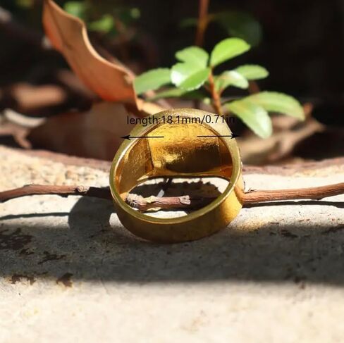 Men’s Fashion Ring 18K Gold Plated Black Onyx & Cubic Zirconia Punk Wedding Vintage Hip Hop Style Full Diamond Men's Ring, Trendy Cuban Link, Retro Gentleman Jewelry, Size 6-13 (7 in Saudi Arabia