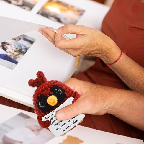 Mini Handmade Crochet Cardinal Bird to Commemorate The Deceased Loved Ones,Bereavement Memorial Condolence Grief Gift，Cardinal Gift for Family and Friends,Collectible Dolls, Desktop Decor in Saudi Arabia