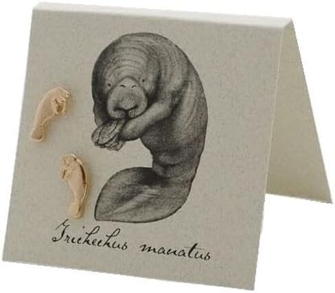 Manatee Stud Earrings - 14k gold plate in Saudi Arabia